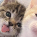 avatar сода лув