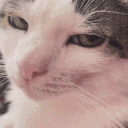 avatar Romantisch Kamina