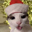 avatar Romantisch Kamina