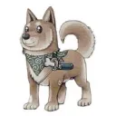 howlcastler avatar