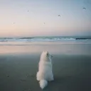 jznzn
