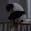 jznzn