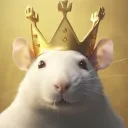 le_rat_05