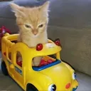 vxierraa