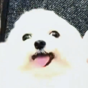 avatar RhysYaKnow0