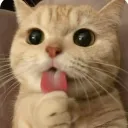 howsitfeel2