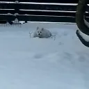 christian5402 avatar