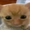 emo.ac