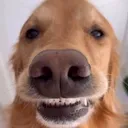 htesgg