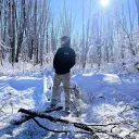 Avatar del autor
