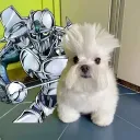 jushhyness avatar