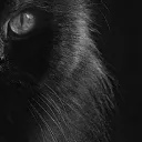 dawanz0024