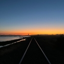 avatar 🎀🧸CommittingTaxEvasion🧸🎀