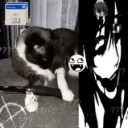 _____b_____