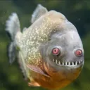 skeetdev