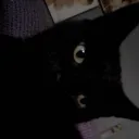 azuku16 avatar