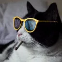 petyrbaelishh
