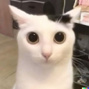 avatar 𝒜𝓃𝓃𝒶