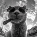 avatar ✧ 𝓔𝓲𝓵𝓮𝓮𝓷