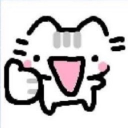insaynebokoyt