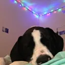 smokeyttv