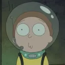 pokelevel1017
