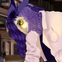 xadok