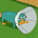 theperrybest