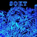 𓆩༺ 𝐒  𝐎  𝐊  𝐓 ༻𓆪