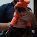 Melinnasalazarg