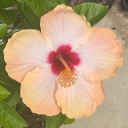 avatar Reformed Kalikiano