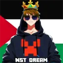 nst_dream