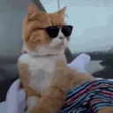 .tmm