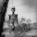 williamtheskeleton