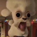 amongusfachero. avatar