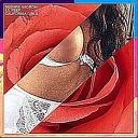 bigdadz223 avatar