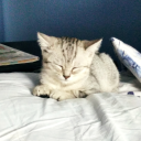 avatar хейстик