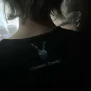 8flex