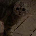 Discord Avatar