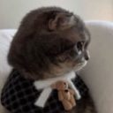 Discord Avatar