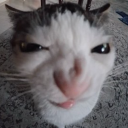 avatar i got noobed