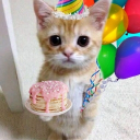 avatar ｡*ﾟ☆ RAYY !! 🌀  ✧ *ﾟ