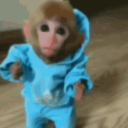 poid1