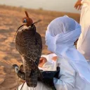 claw_mtab_kw