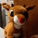 avatar ⁺‧₊˚ ཐི amorpup ཋྀ ˚₊‧⁺