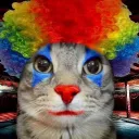 Аватар .bonzibuddy.exe