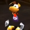 falcotuso