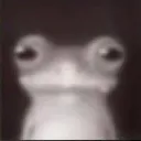 dvkai