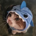 peixinho5555
