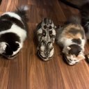 ひろあきの写真